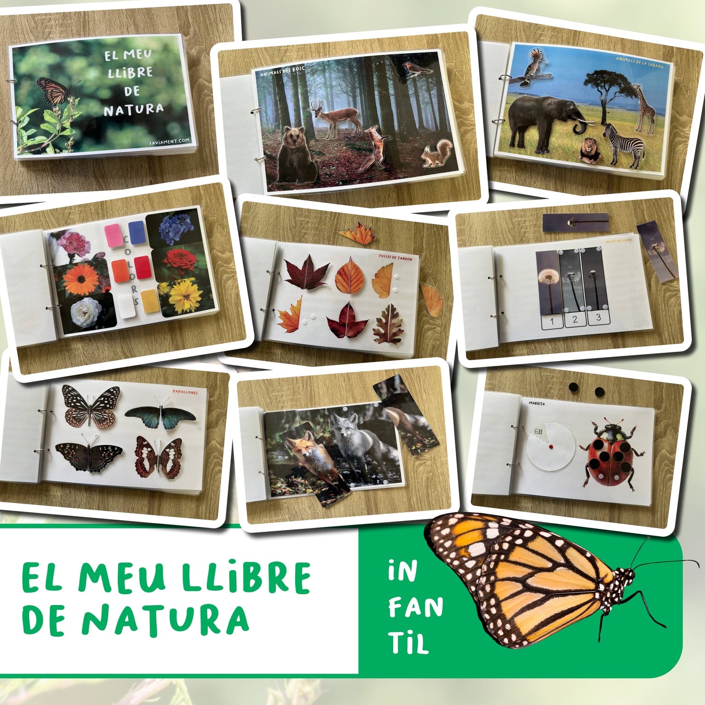 El meu llibre de natura