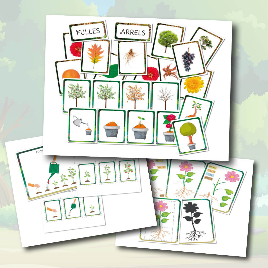 El cicle i les parts de les plantes