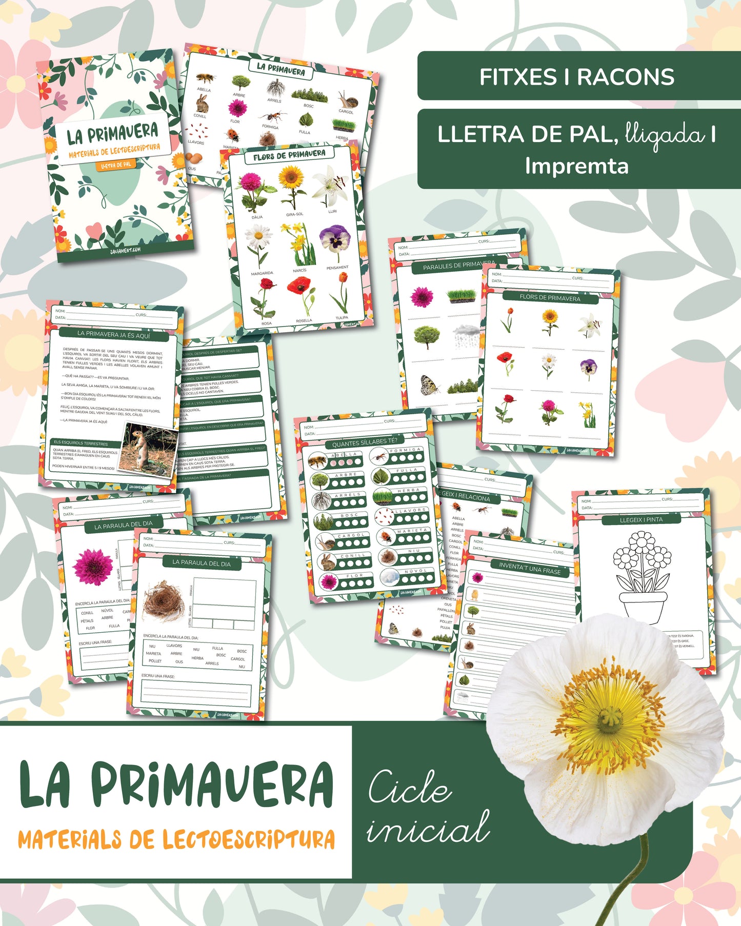 Lectoescriptura: la primavera