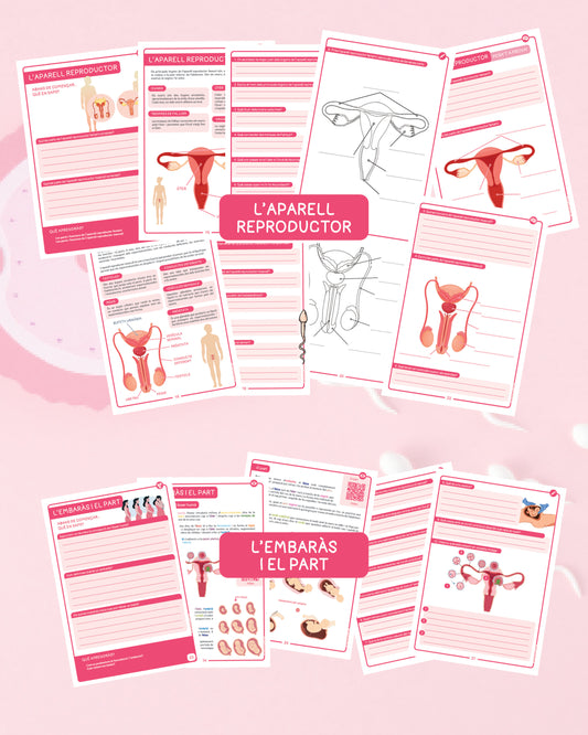 La reproducció humana