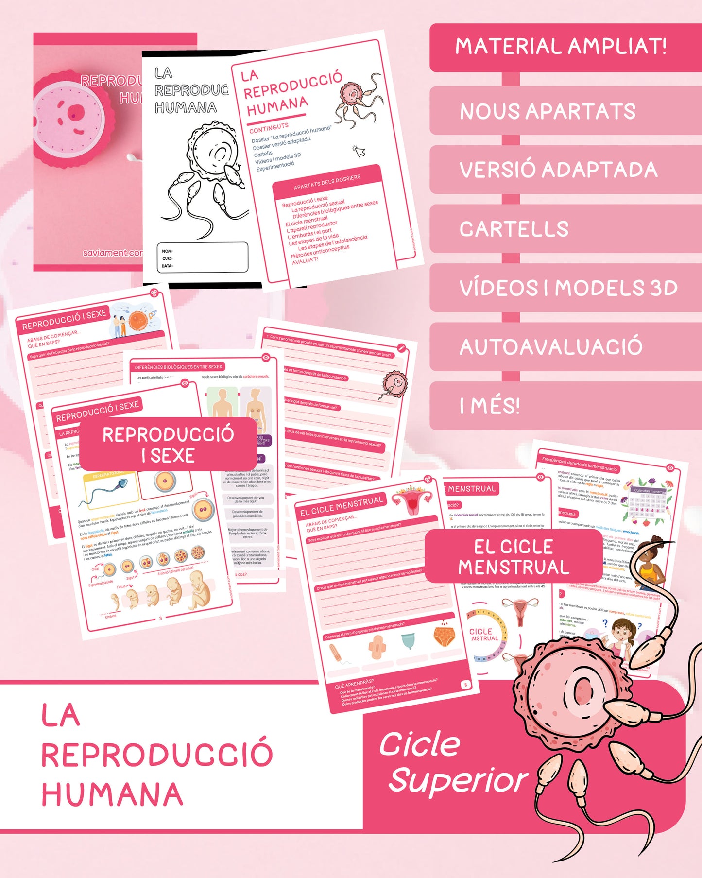 La reproducció humana