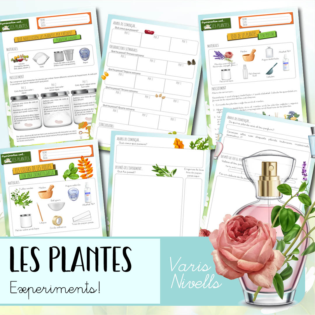 Experimentem amb les plantes!