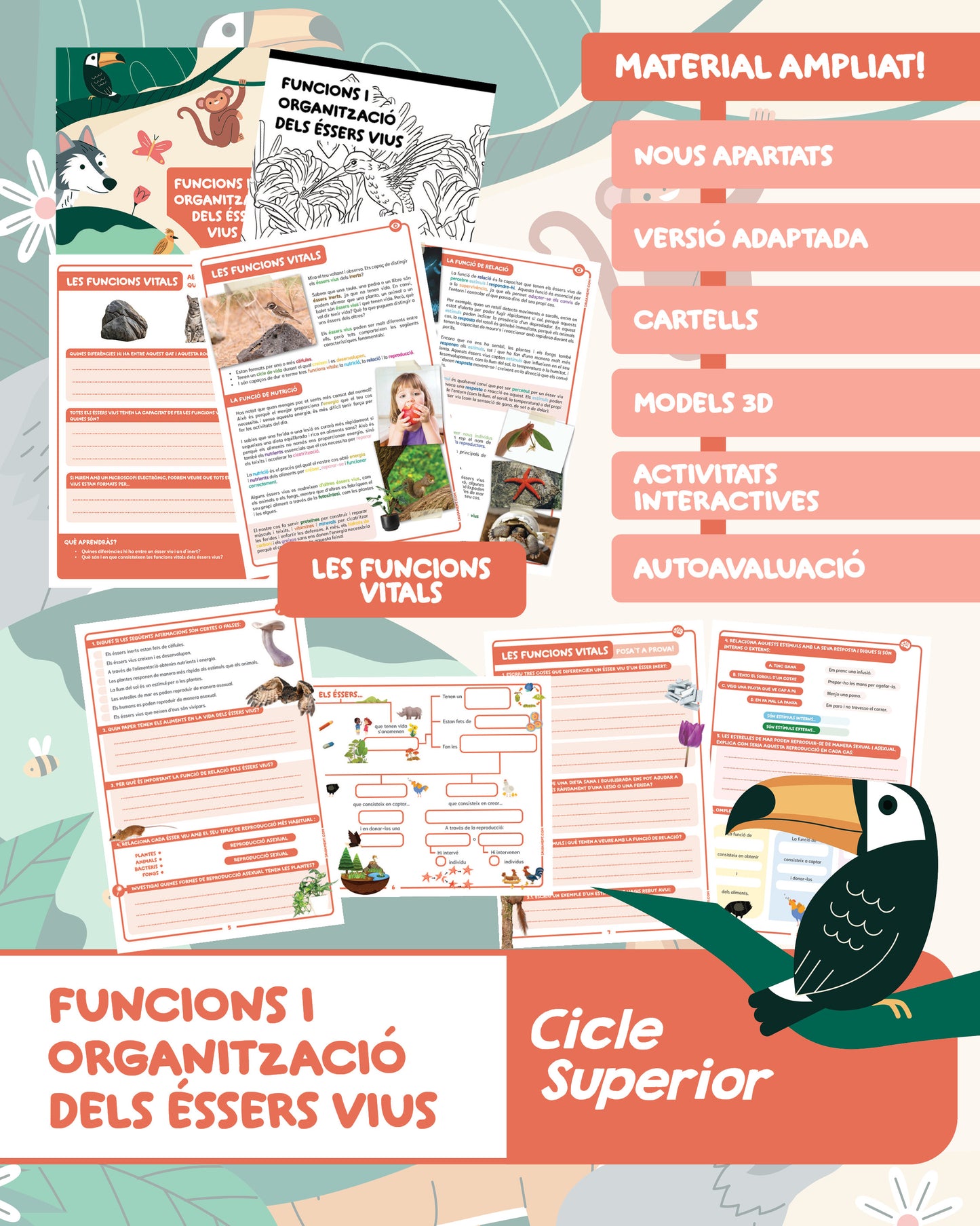 Funcions i organització dels éssers vius