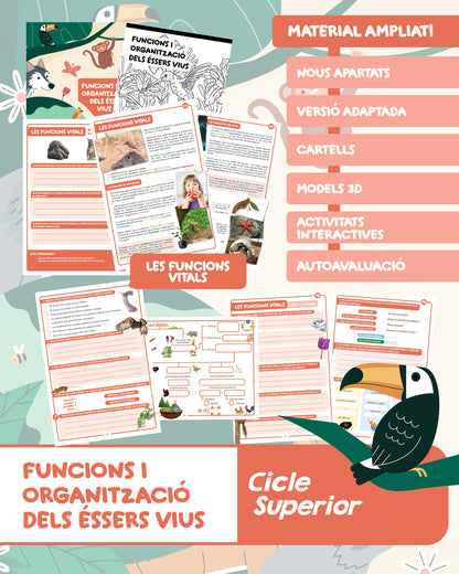 Funcions i organització dels éssers vius
