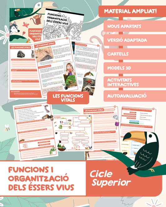 Funcions i organització dels éssers vius