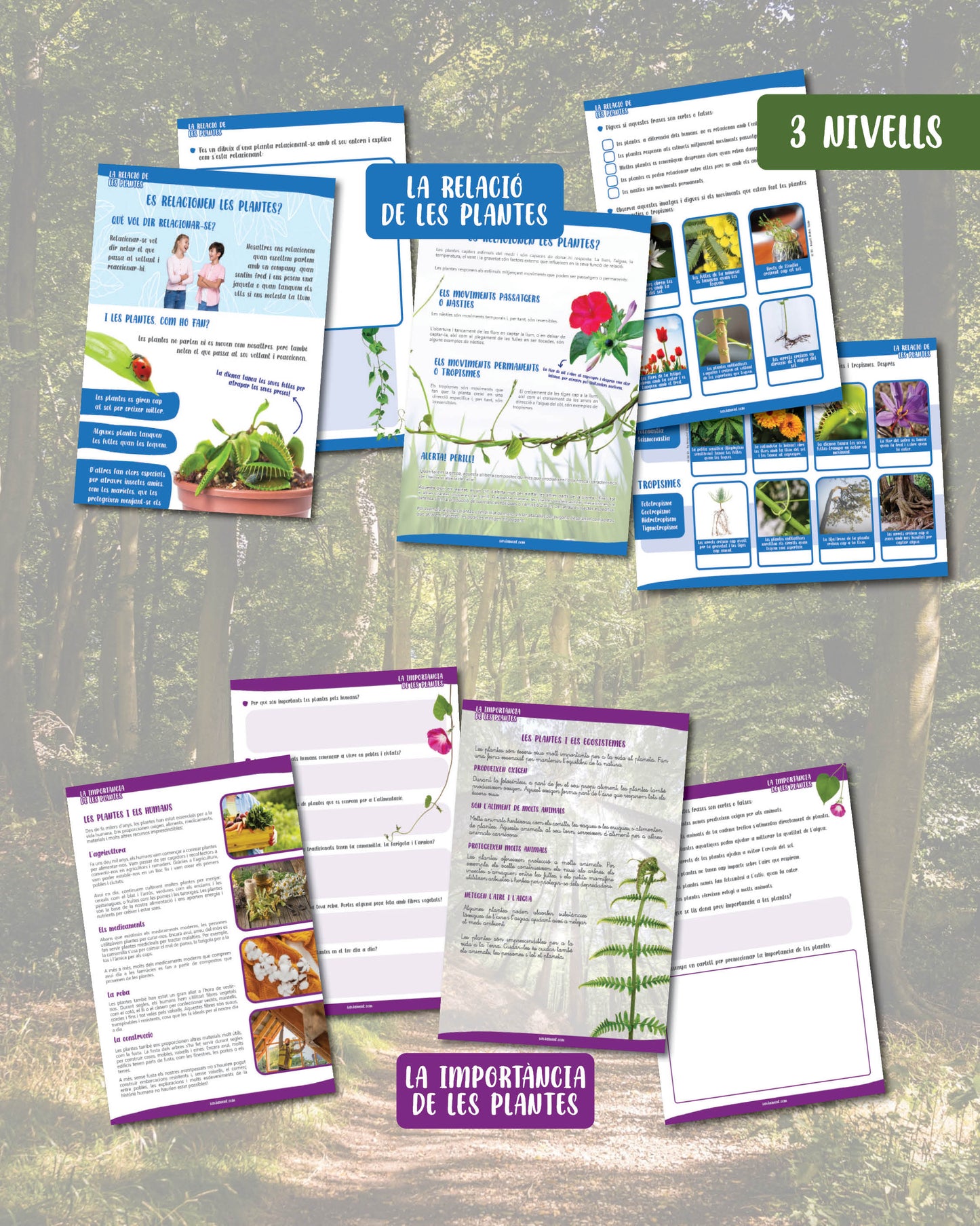 Les plantes: multinivell