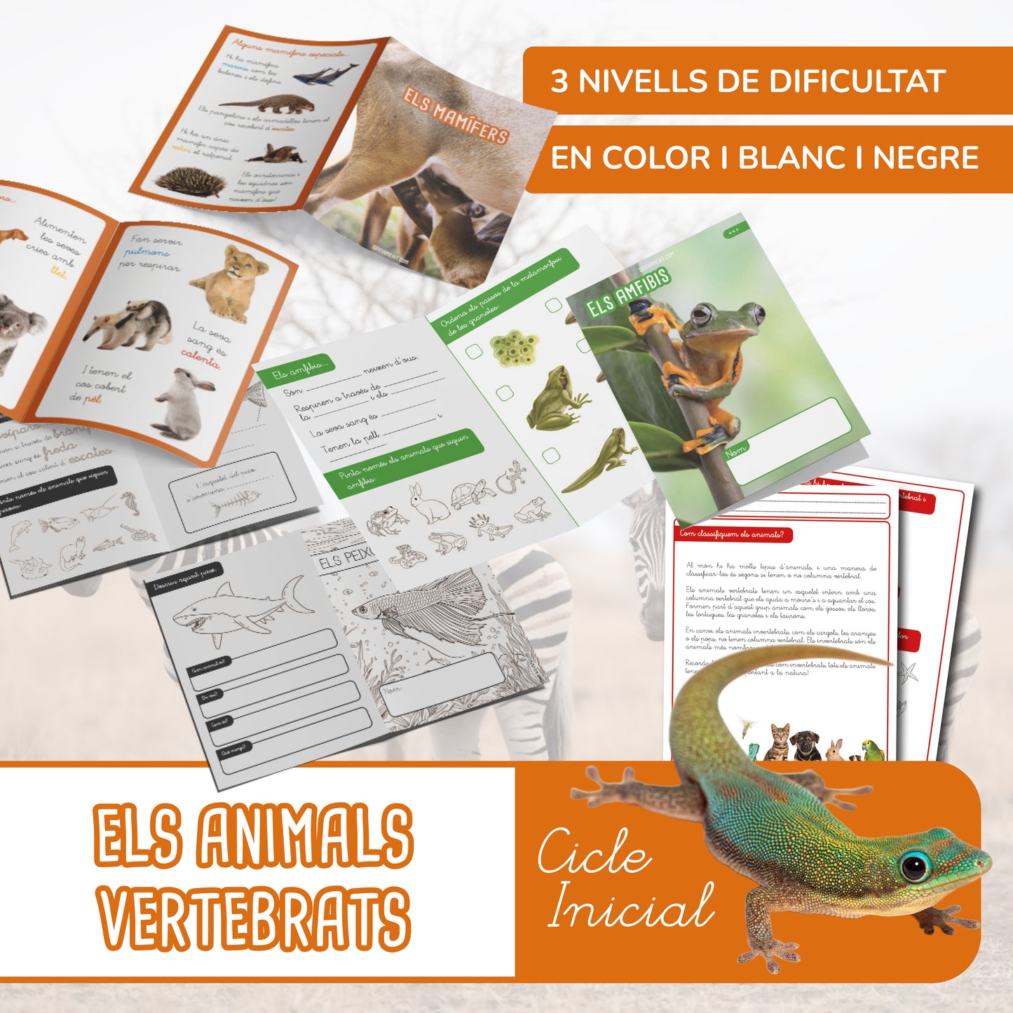 Els animals vertebrats