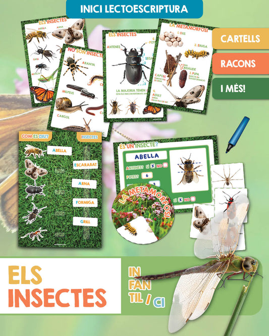 Els insectes