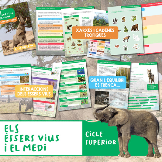 Els éssers vius i el medi: Interaccions