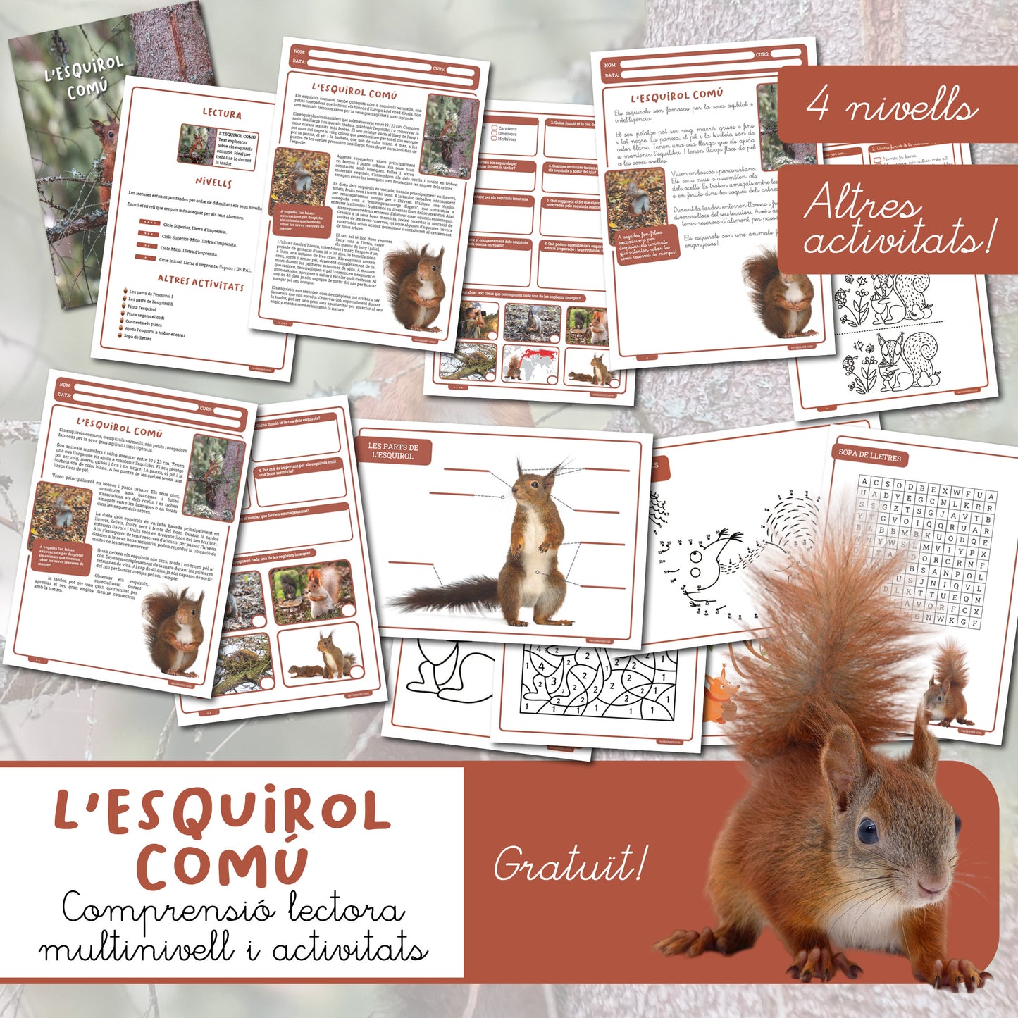 L'esquirol comú