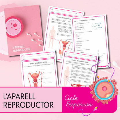 L'aparell reproductor