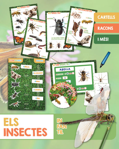 Els insectes