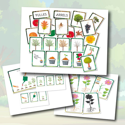 El cicle i les parts de les plantes