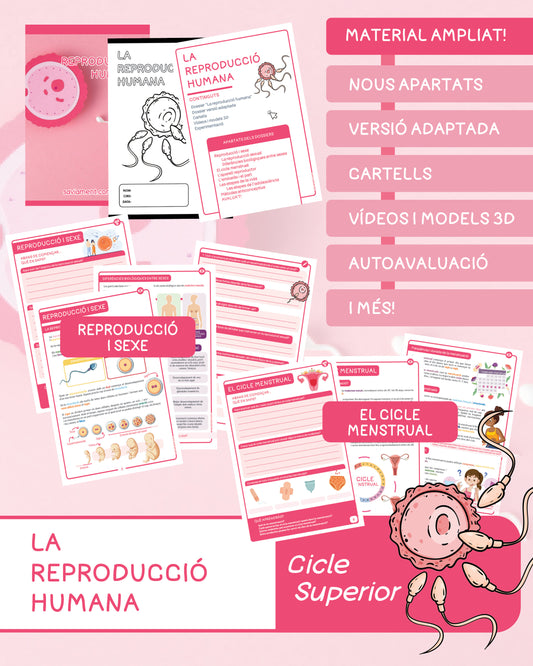 La reproducció humana
