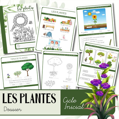 Les plantes