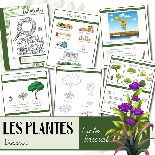 Les plantes