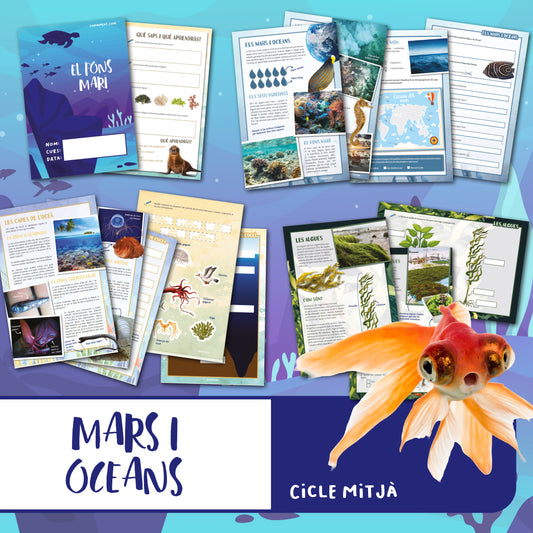 Mars i oceans