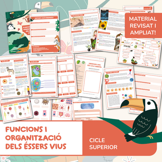 Funcions i organització dels éssers vius