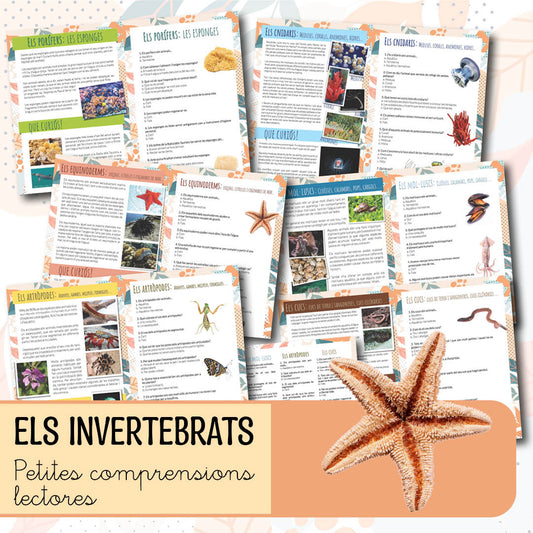 Petites comprensions lectores: els invertebrats
