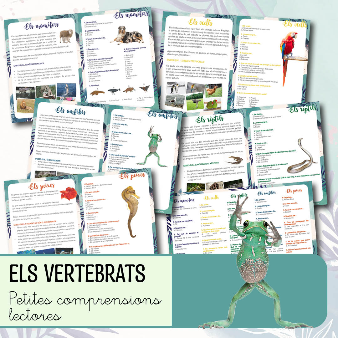 Petites comprensions lectores: els vertebrats