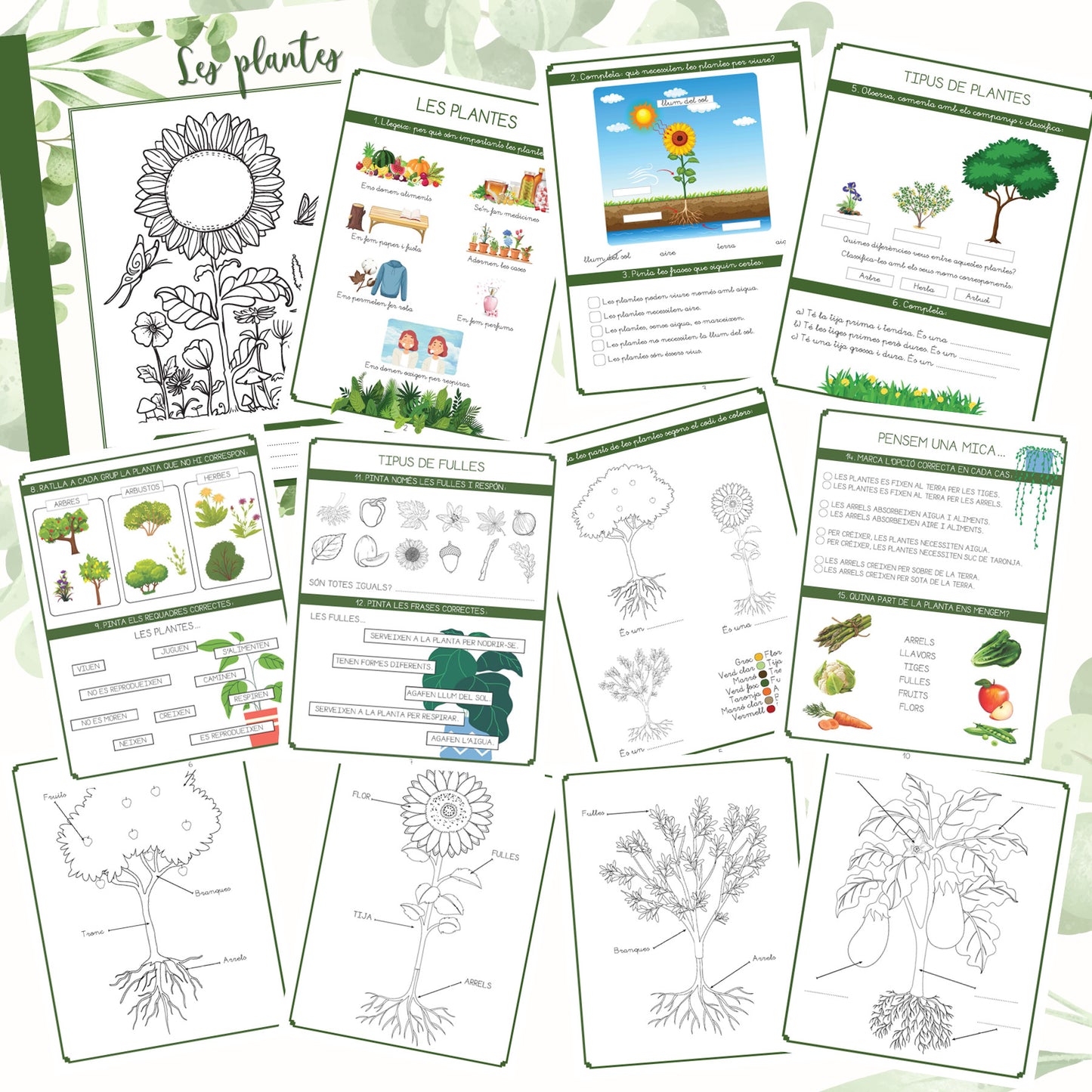 Les plantes