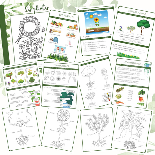Les plantes