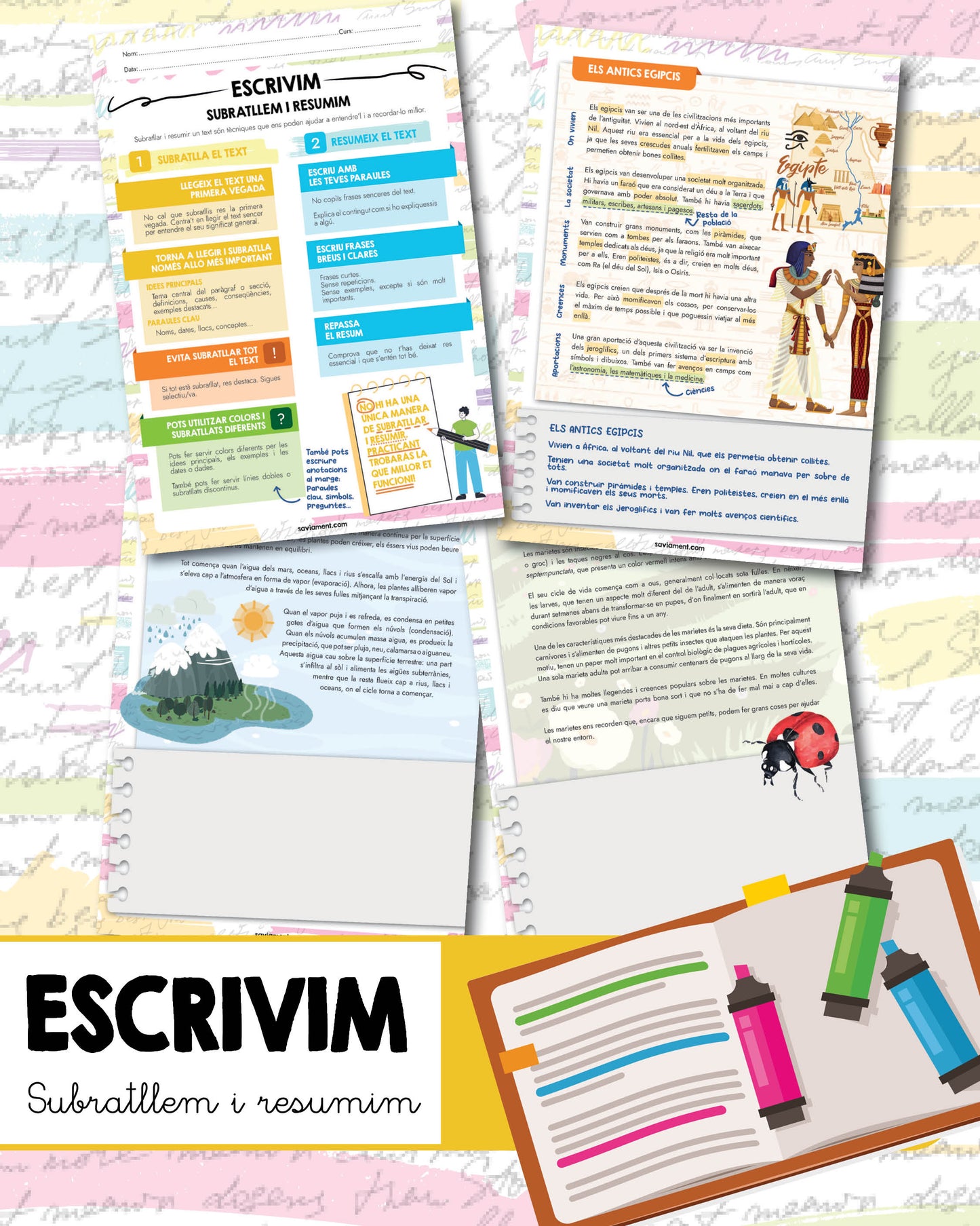 ESCRIVIM: Subratllem i resumim